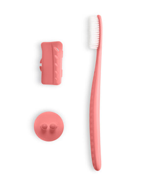 Couple Full Size Toof Brush - Toof Inc